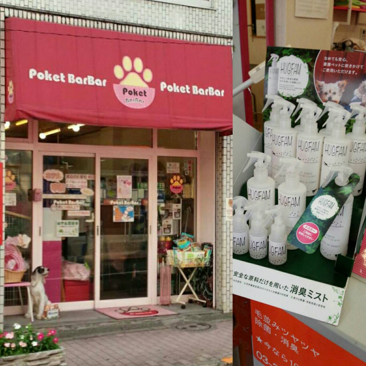 HUGFAM店頭販売情報/Pocket BarBar