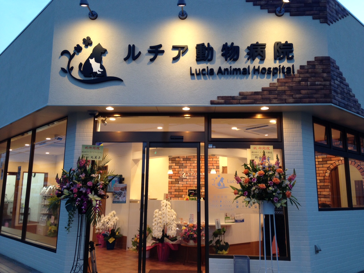 HUGFAM店頭販売情報/ルチア動物病院