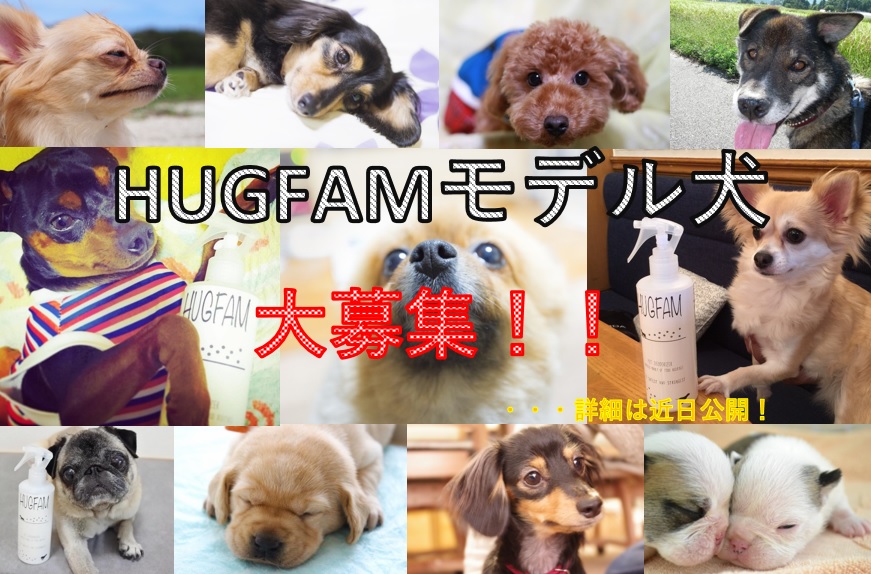 HUGFAMモデル犬を募集します!ー活動内容ー
