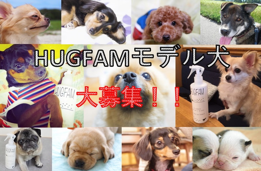 HUGFAMモデル犬募集キャンペーン終了のお知らせ