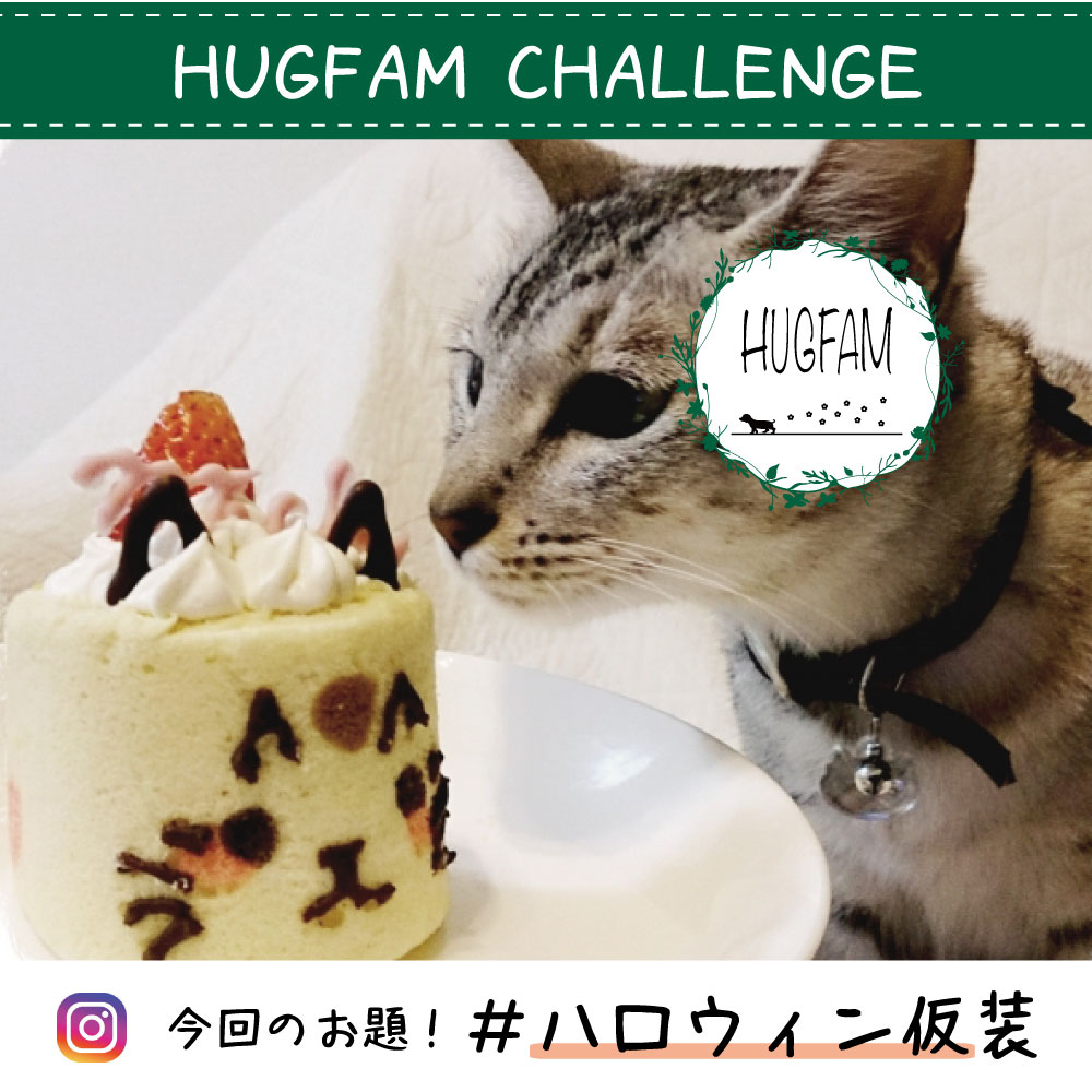 HUGFAMチャレンジ第16弾 発表!