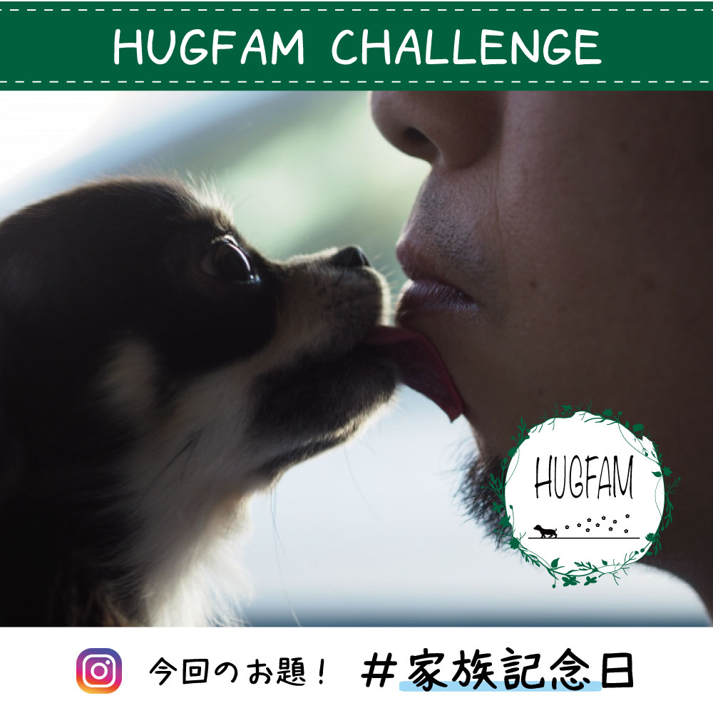 HUGFAMチャレンジ第17弾 発表!