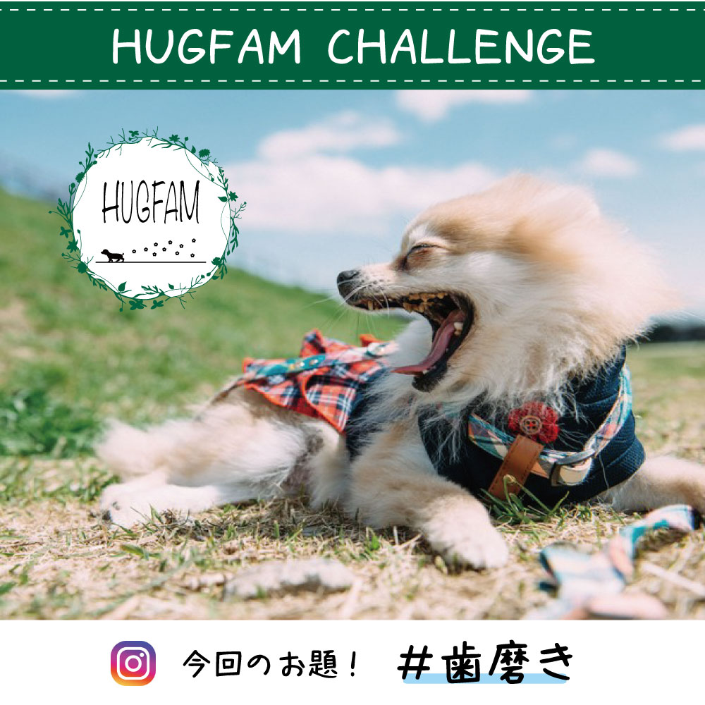 HUGFAMチャレンジ第19弾 発表!